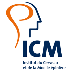 Logo ICM bannière